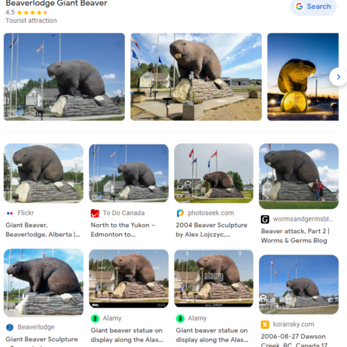 Reverse image lookup for beaver image